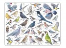 MAXI PUSLESPILL 36,5 x 28,5 cm thumbnail